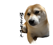 861902019