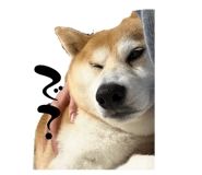 861902020