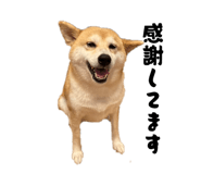 861902021