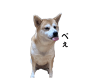 861902028