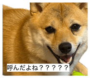 861902074