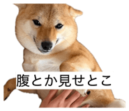 861902078