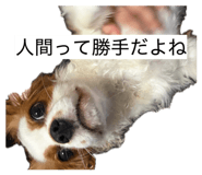 861902081