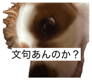 861902083
