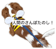 861902084