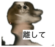 861902086