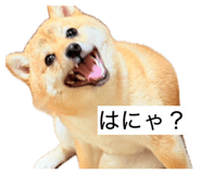 861902095