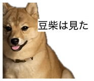 861902101