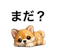 861902125