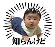861906611