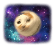 861906637