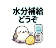 861909330