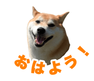 861909845