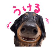 861913470