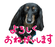 861913485