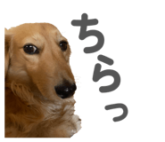 861916453