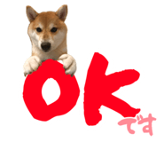 861916940