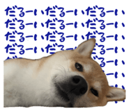861916949
