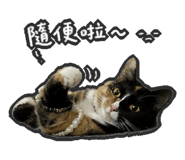 861939762