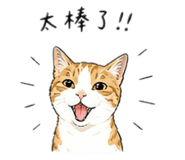 861948325