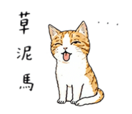 861948339