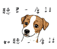 861948747