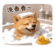862004418