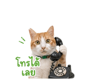 862057428