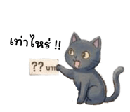 862058100