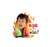 862068684