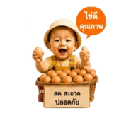 862075202