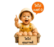 862075203