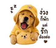 862075503