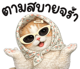 แมวสาว มินิ รูปที่ 3