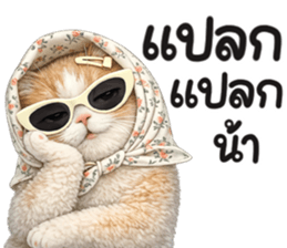 แมวสาว มินิ รูปที่ 8
