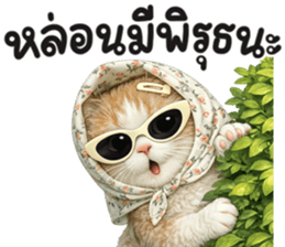 แมวสาว มินิ รูปที่ 9