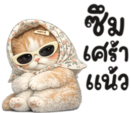 แมวสาว มินิ รูปที่ 12