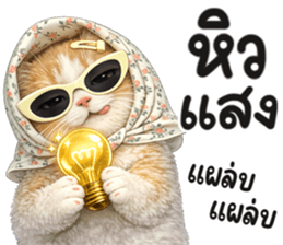 แมวสาว มินิ รูปที่ 13
