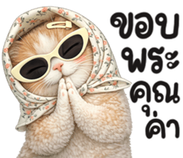 แมวสาว มินิ รูปที่ 14