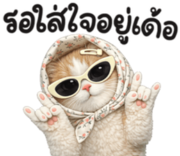แมวสาว มินิ รูปที่ 16