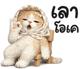 แมวสาว มินิ รูปที่ 19