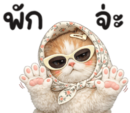 แมวสาว มินิ รูปที่ 20