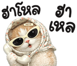 แมวสาว มินิ รูปที่ 24