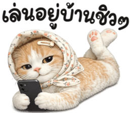 แมวสาว มินิ รูปที่ 28