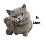 862123833