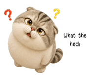 862146664