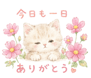 862151057