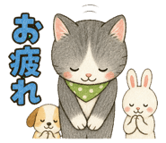 862200084