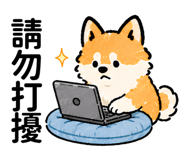 862225313