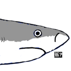 862228428